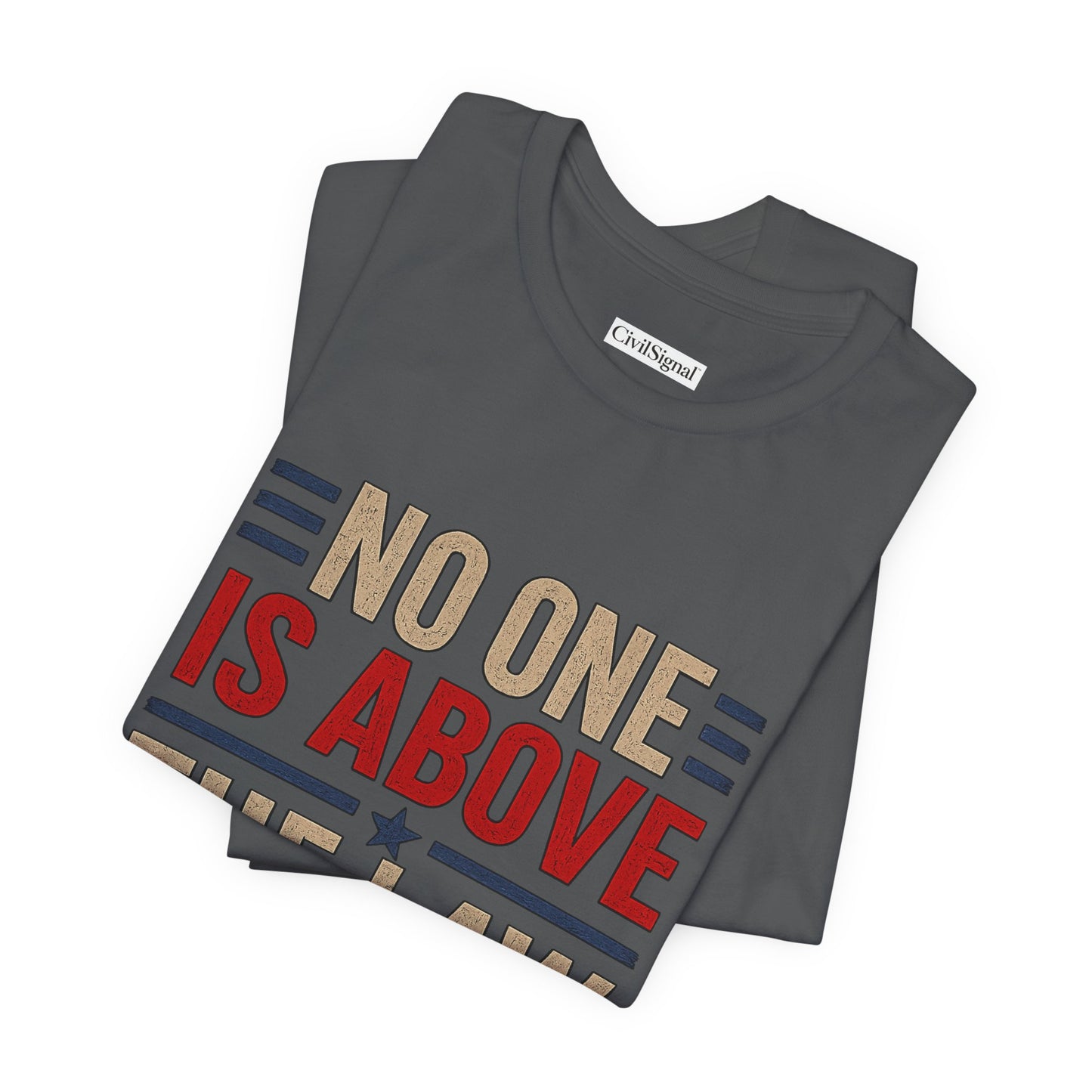 NO ONE IS ABOVE THE LAW - Premium Opinion Tee