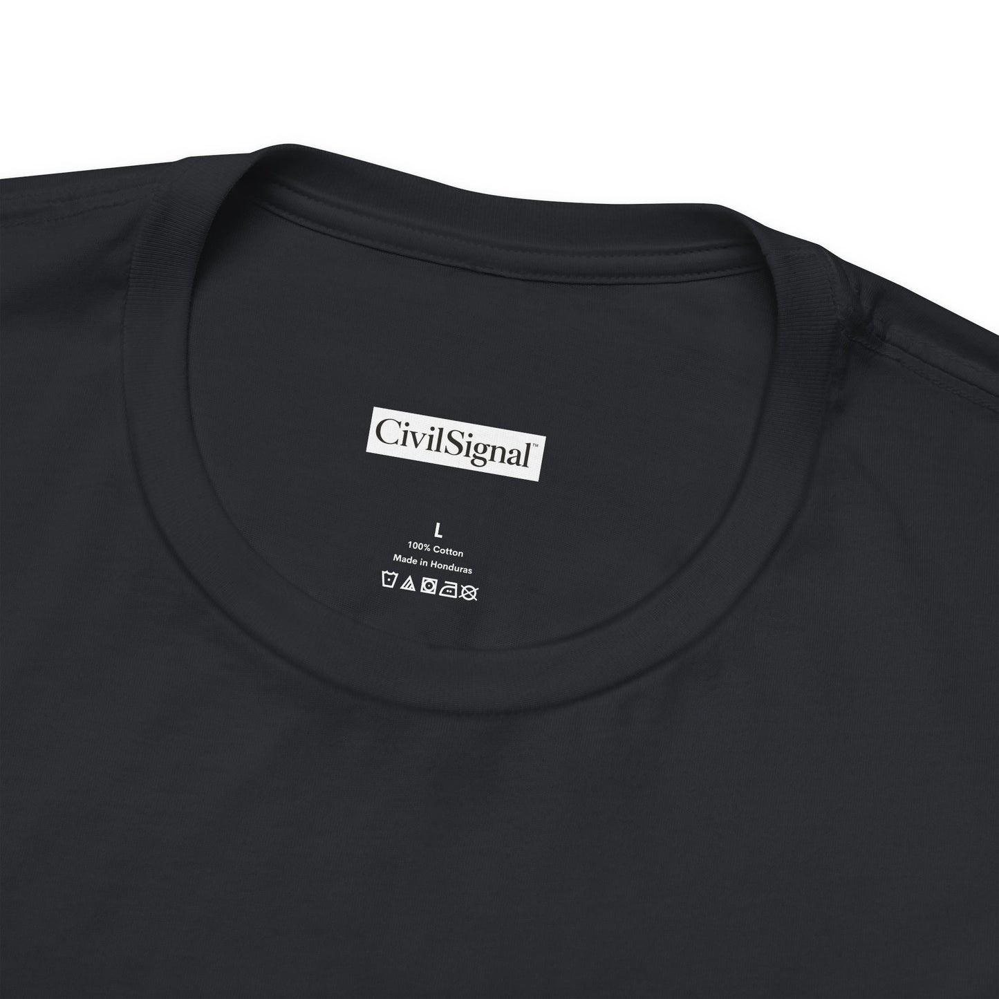 Everything Is Bipartisan When Money's Involved - Premium Opinion Tee