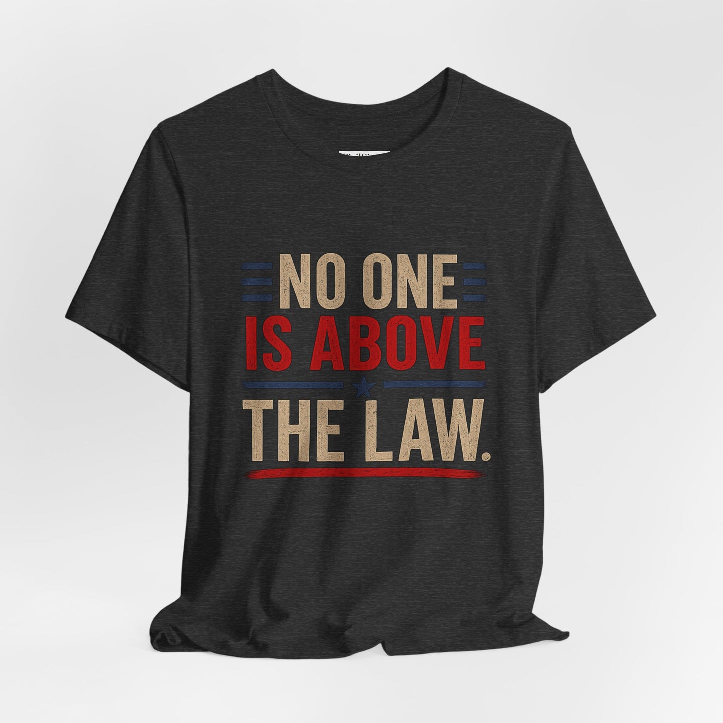 No One Is Above The Law - Premium Opinion Tee
