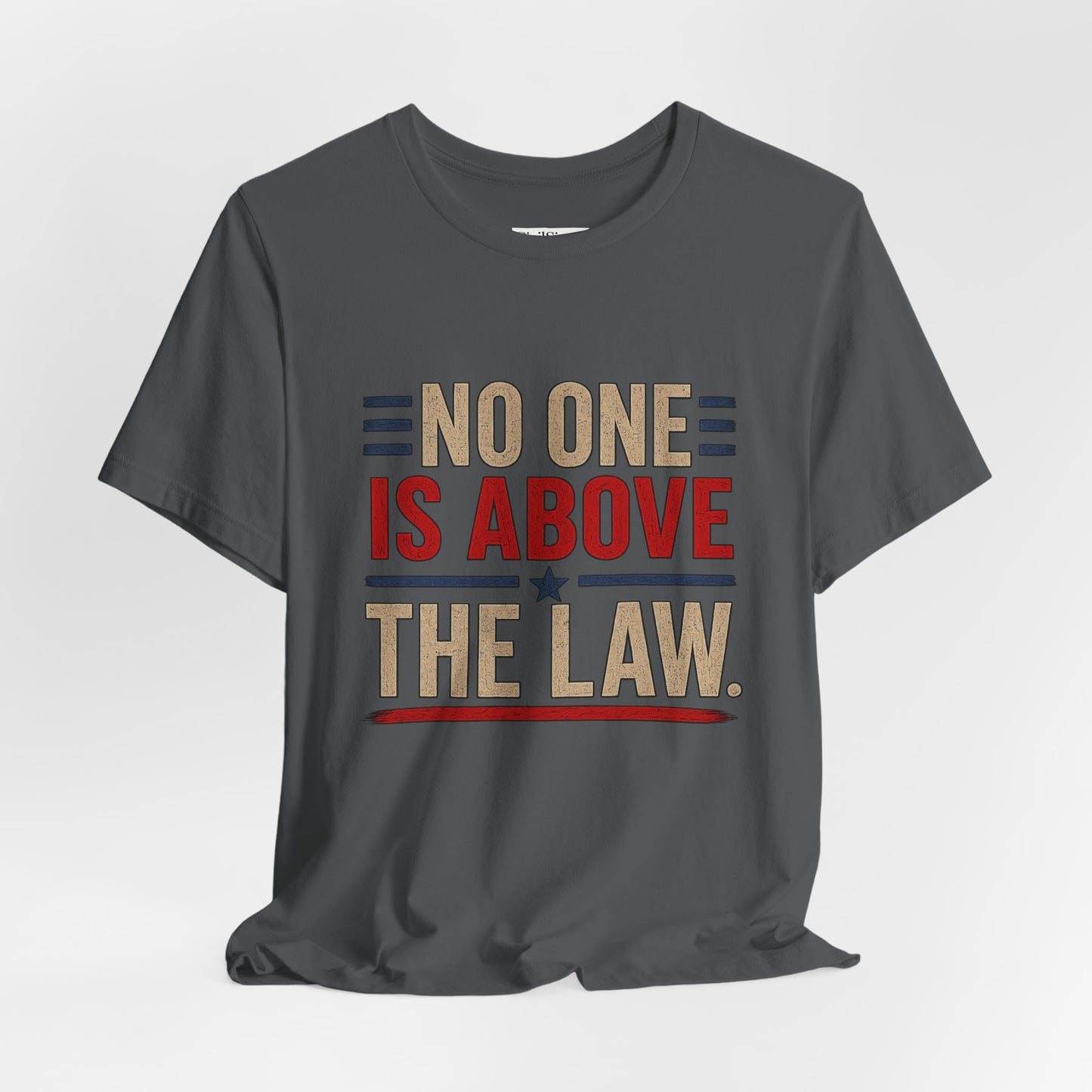 NO ONE IS ABOVE THE LAW - Premium Opinion Tee