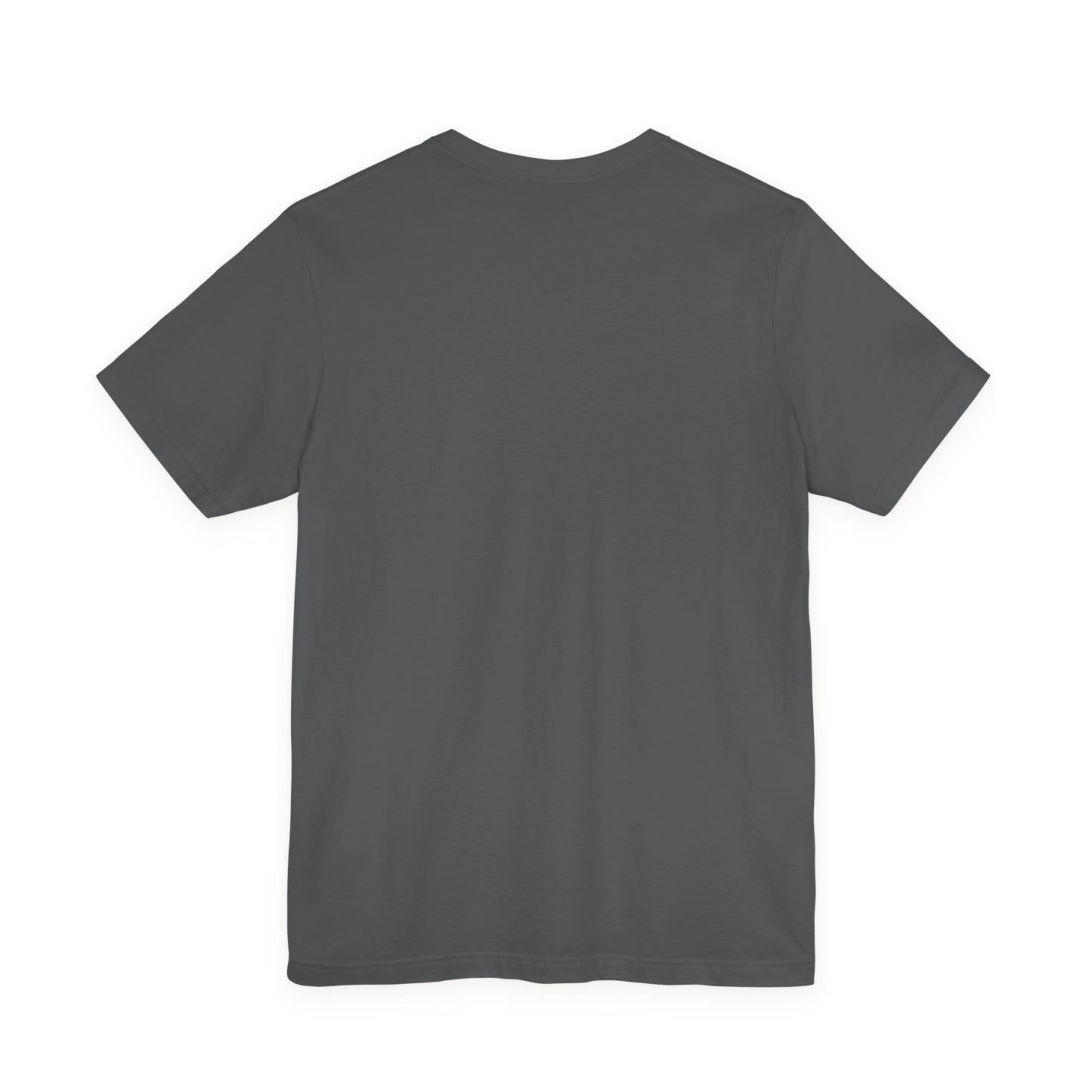 NO ONE IS ABOVE THE LAW - Premium Opinion Tee